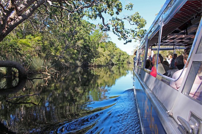 Serenity Cruise to Australias Everglades - What to Expect