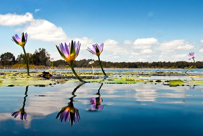 Serenity Cruise to Australias Everglades - Pricing and Cancellation