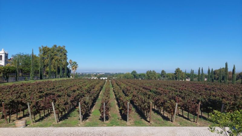 Serra Arrábida: Private Tour With Wine Tasting Premium Car - Inclusions