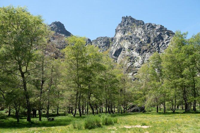 SERRA DA ESTRELA - Excursion With Tasting of SERRA Cheese - Meeting and Pickup