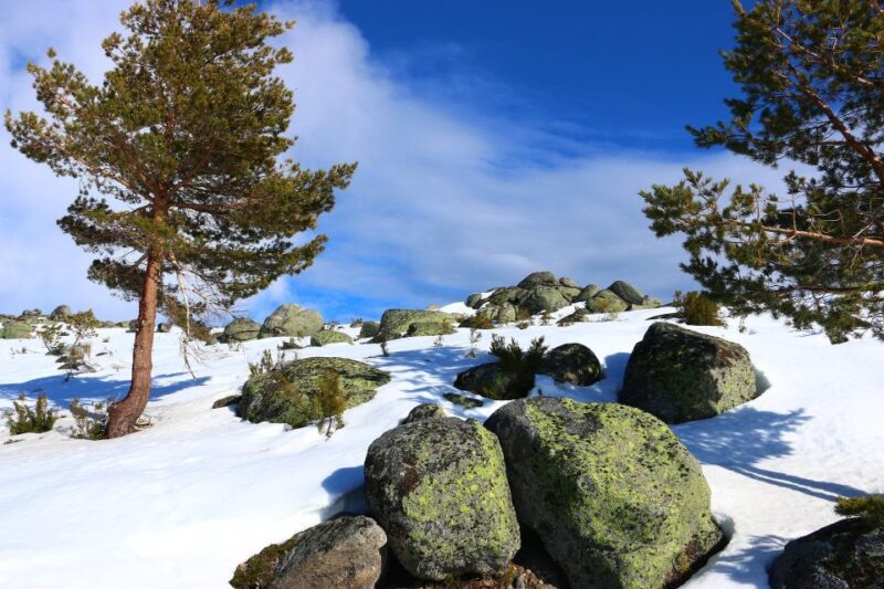 Serra Da Estrela Private Tour - Explore Castelo Novo