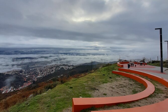 Serra Da Estrela S1 - Tasting Cheese - Cheese Tasting Experience