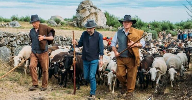 Serra De Montemuro Shepherds Trail Tour - Itinerary Highlights
