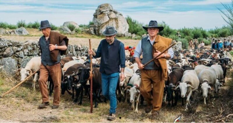 Serra De Montemuro Shepherds Trail Tour - Cultural Experiences