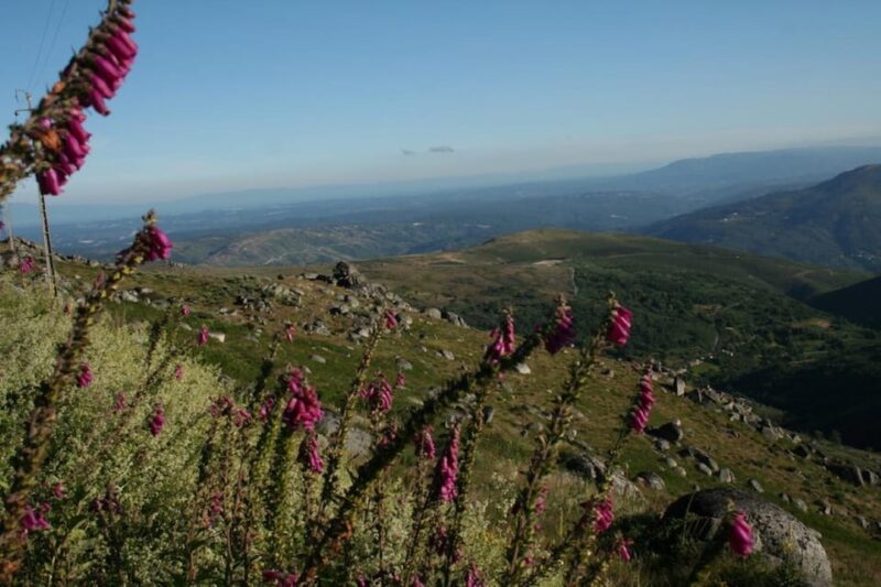 Serra De Montemuro Shepherds Trail Tour - What to Bring