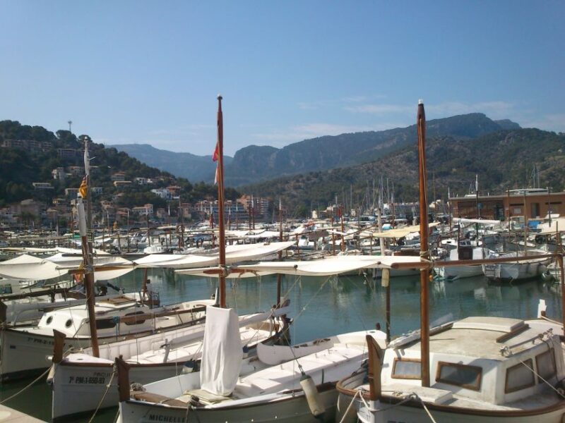 Serra De Tramuntana Half-Day Tour: Soller and Valldemosa - Itinerary Highlights