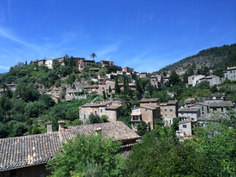 Serra De Tramuntana Half-Day Tour: Soller and Valldemosa - Train Ride to Soller