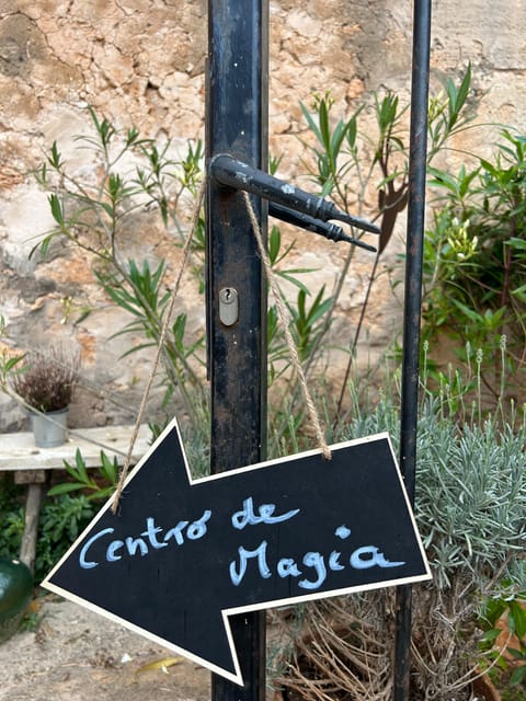 Ses Salines -Vida Magica: Visit Center of Magic&Tea Ceremony - Preventing Blockages and Disorders