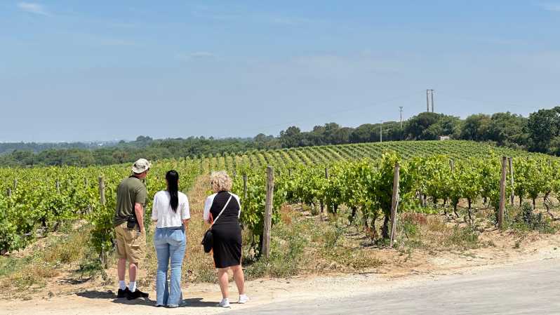Sesimbra: 2 Wine Tastings, Glazed Tiles and Fish Market - Wine and Food Experiences