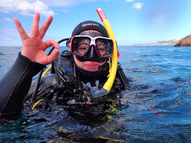 Sesimbra: Arrábida Marine Reserve Scuba Diving Experience - Itinerary Details