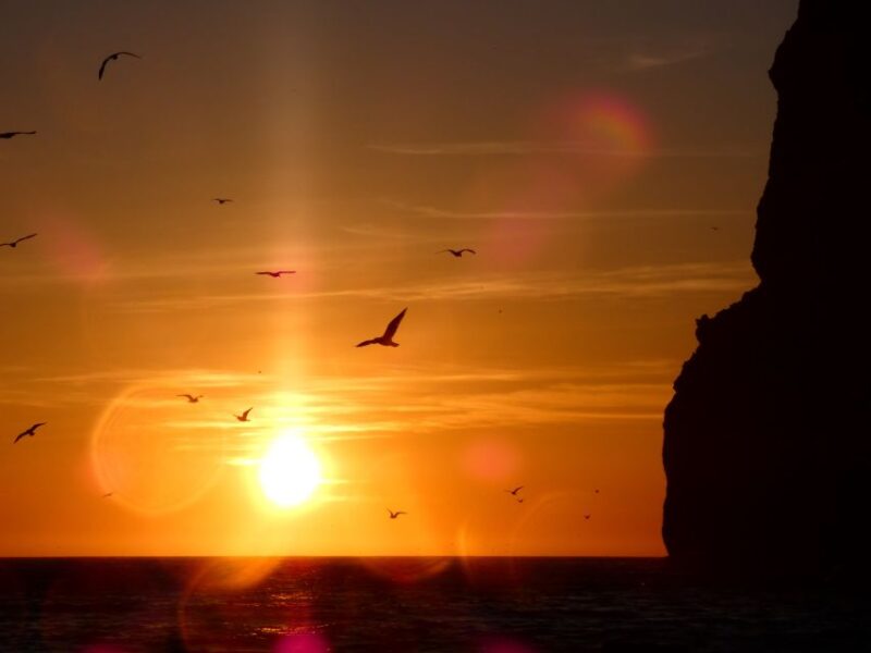 Sesimbra: Arrábida Natural Park Cabo Espichel Sunset Tour - Itinerary