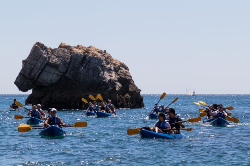 Sesimbra: Arrabida Natural Park & Caves Guided Kayaking Tour - Highlights