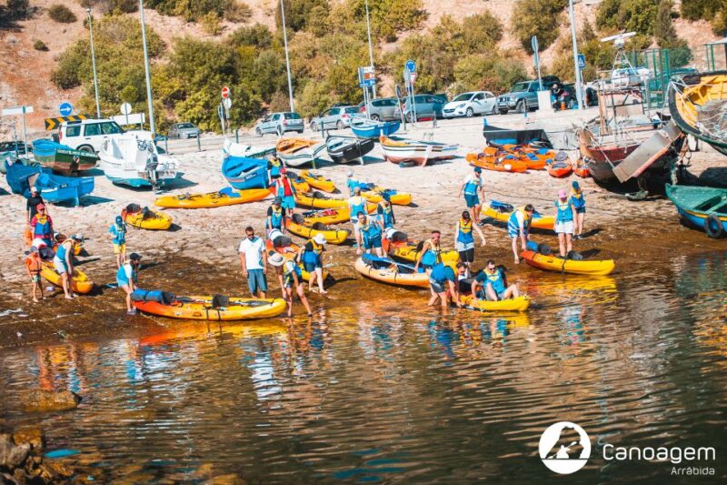 Sesimbra: Arrábida Natural Park Guided Kayaking Tour - Customer Feedback