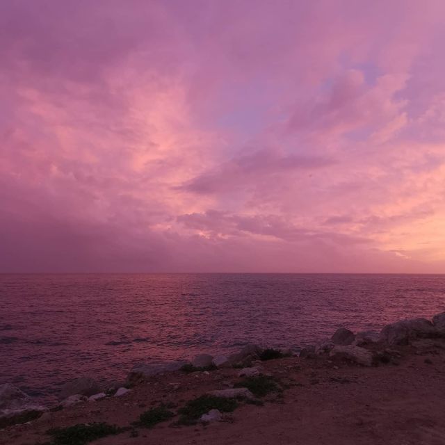 Sesimbra: Be a Tourist but Feel Like a Local! - Savor the Coastal Cuisine