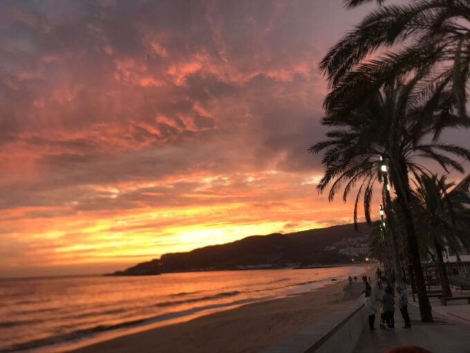 Sesimbra: Be a Tourist but Feel Like a Local! - Immerse in Local Conversations