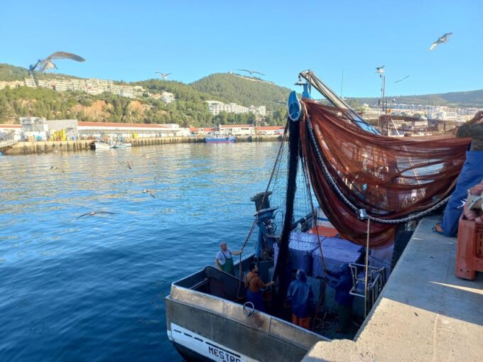 Sesimbra/Cabo Espichel/Aldeia Do Meco Tour - Preparing for the Tour