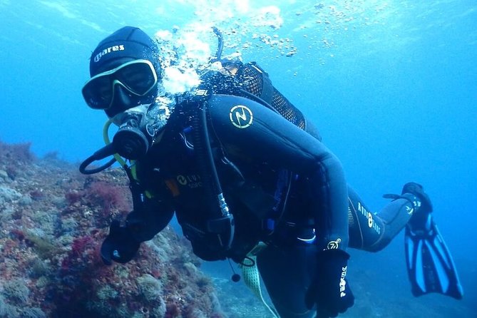 Sesimbra Dive Discovery - Course Suitability and Certification