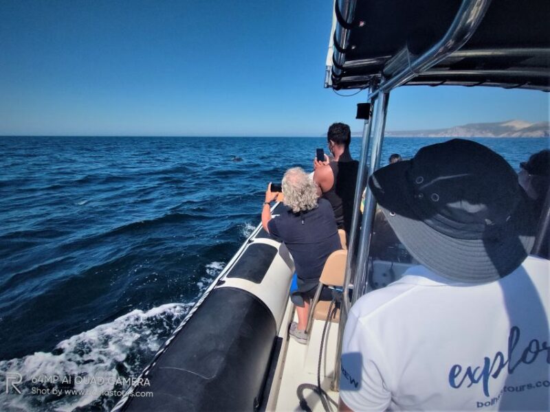 Sesimbra: Dolphin Watching Boat Tour With Biologist Guide - Itinerary and Experience