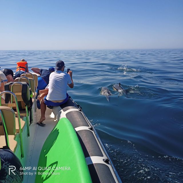 Sesimbra: Dolphin Watching Boat Tour With Biologist Guide - Swimming and Snorkeling