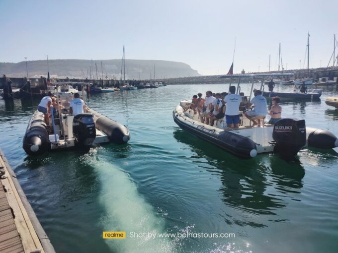 Sesimbra: Dolphin Watching Boat Tour With Biologist Guide - Frequently Asked Questions