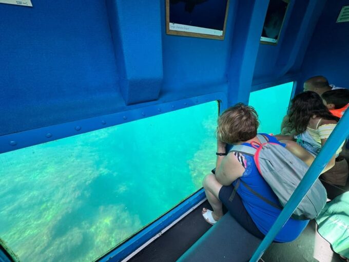 Sesimbra: Family Friendly Boat Sea Tour W/ Submarine Vision - Frequently Asked Questions
