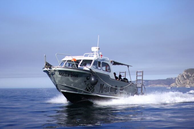 Sesimbra: Guided Dolphin Watching in Arrábida Natural Park - Getting to the Meeting Point