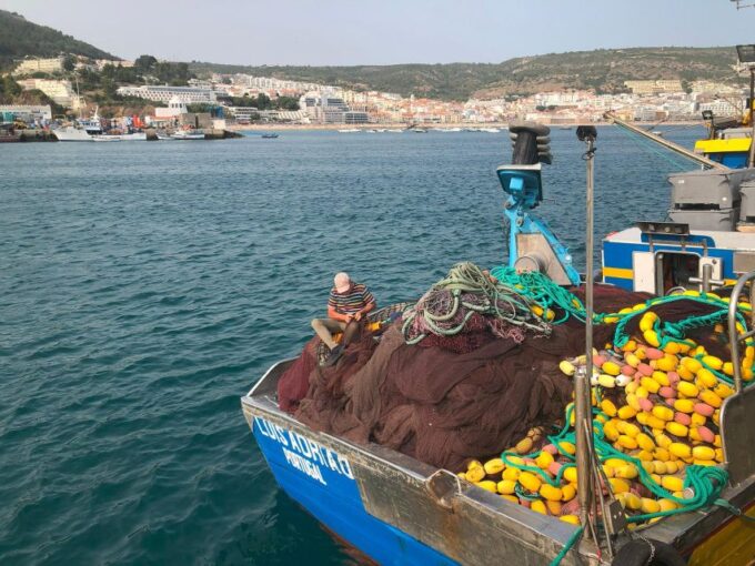 Sesimbra: Half-Day Tour to Arrabida With Wine Tasting - Booking Information and Feedback