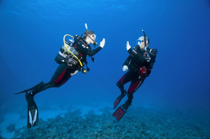 Sesimbra: Open Water Course - Cancellation Policy