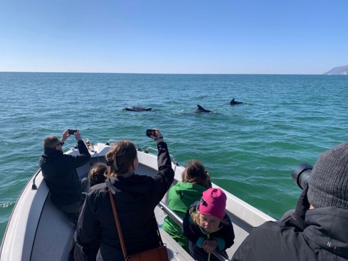 Sesimbra: Private Dolphin Watching Tour Arrábida Natural Park - Arrival and Departure