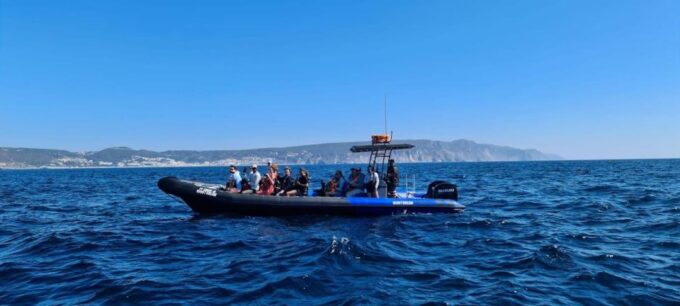 Sesimbra: Private Dolphin Watching Tour Arrábida Natural Park - Pricing and Booking