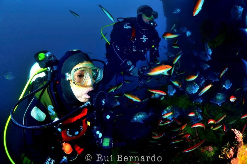 Sesimbra: Scuba Diving Experience for Beginners - Key Points