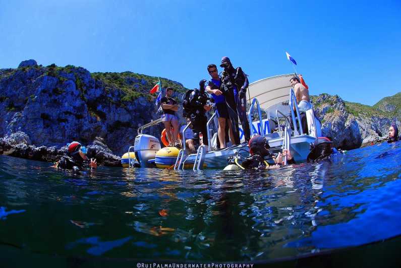 Sesimbra: Scuba Diving Experience for Beginners - Experience Highlights