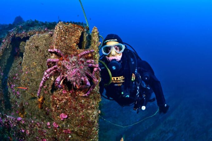 Sesimbra: Scuba Diving Experience for Beginners - Booking and Scheduling