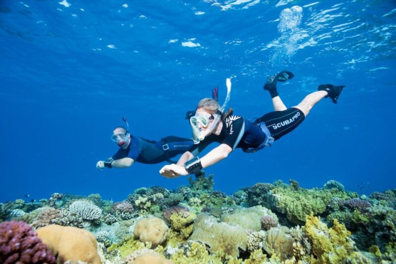 Sesimbra: Snorkeling in the Ocean - Snorkeling Highlights