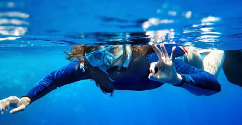 Sesimbra: Snorkeling in the Ocean - Snorkeling Highlights