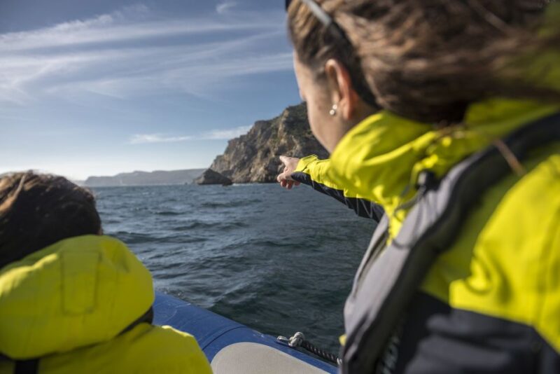 Sesimbra: Speedboat Tour of Arrabida Natural Park - Booking Information