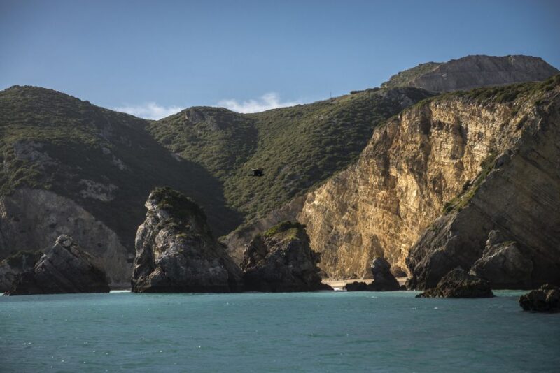 Sesimbra: Speedboat Tour of Arrabida Natural Park - Inclusions