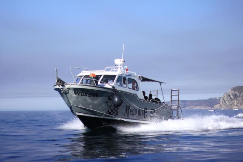 Sesimbra: Try Scuba Diving - Suitability Restrictions