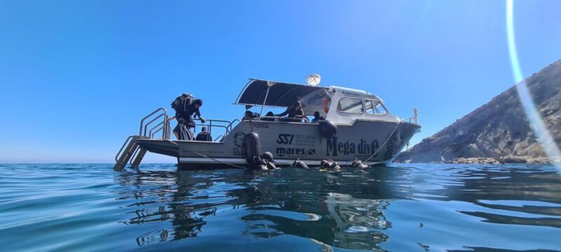 Sesimbra: Try Scuba Diving - Customer Feedback