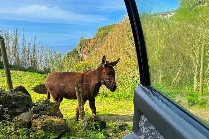 Sete Cidades Hikes - Off-Road Private Tour With Local Guide - Overview of Tour Activities