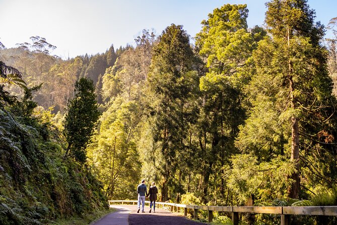 Sete Cidades + Lagoa Do Fogo Full-Day Van Tour - Accessibility and Participation