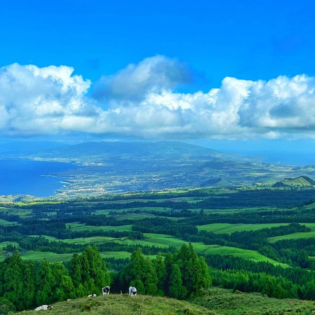 Sete Cidades Lakes - Off Road Tour - Frequently Asked Questions