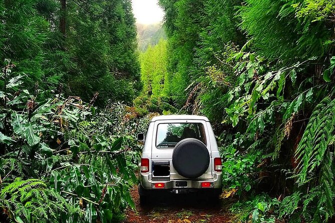 Sete Cidades - Nature Lovers - Private Jeep Tour With Local Guide - Unique Experiences With Local Guide