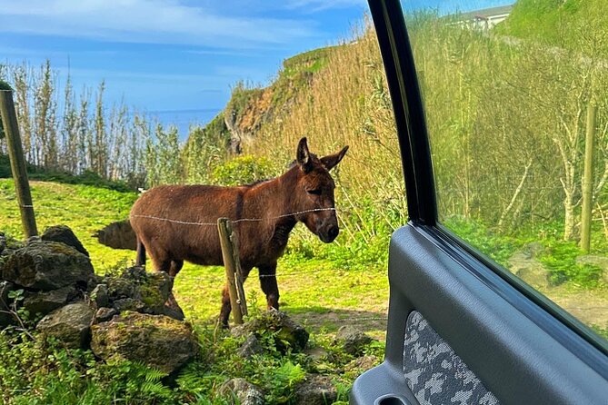Sete Cidades - Nature Lovers - Private Jeep Tour With Local Guide - Accessibility and Participation