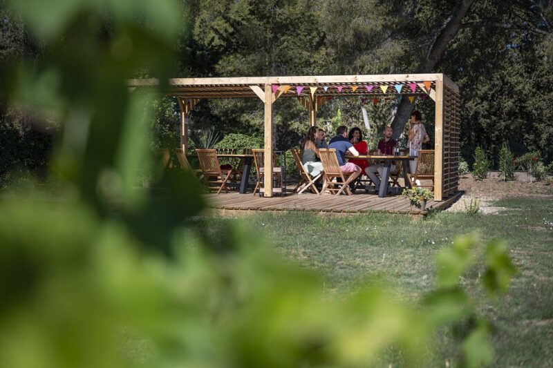 Sète: Private Half-Day Wine Tour - Pickup and Drop-off Options