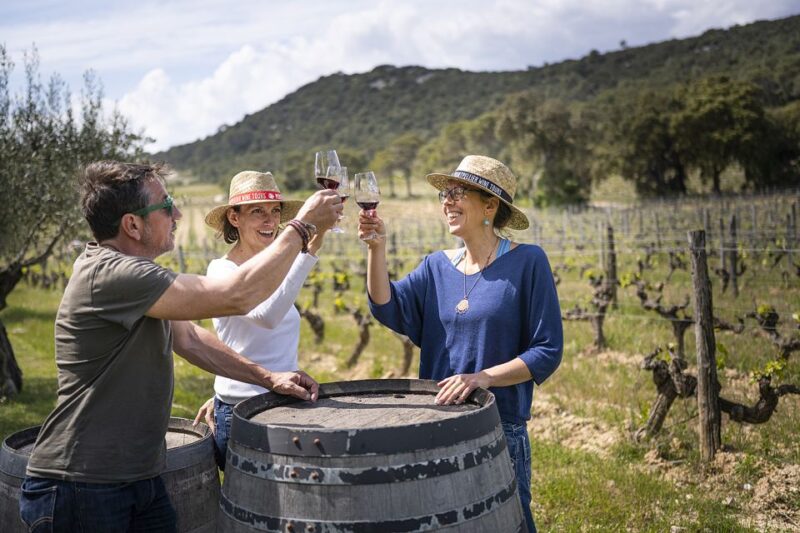 Sète: Private Half-Day Wine Tour - Itinerary Breakdown