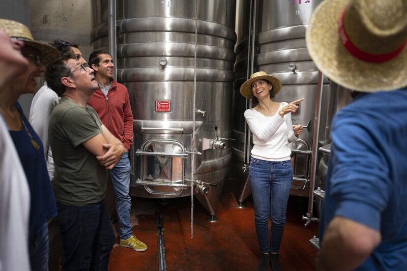 Sete: Private Wine and Oyster Tour With Tastings - Pickup and Transfer Arrangements