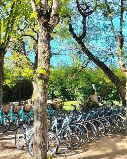 Setée: Bike Rental - Cycling Experience