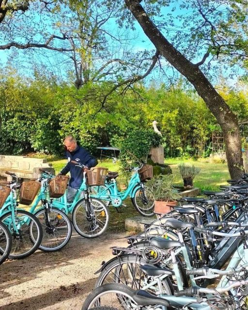 Setée: Bike Rental - Guidance and Support