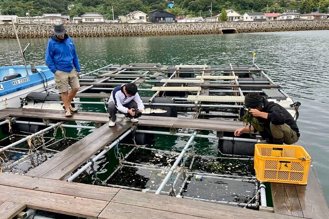 Setouchi Fishing and Culinary Adventure - Pricing and Booking Information